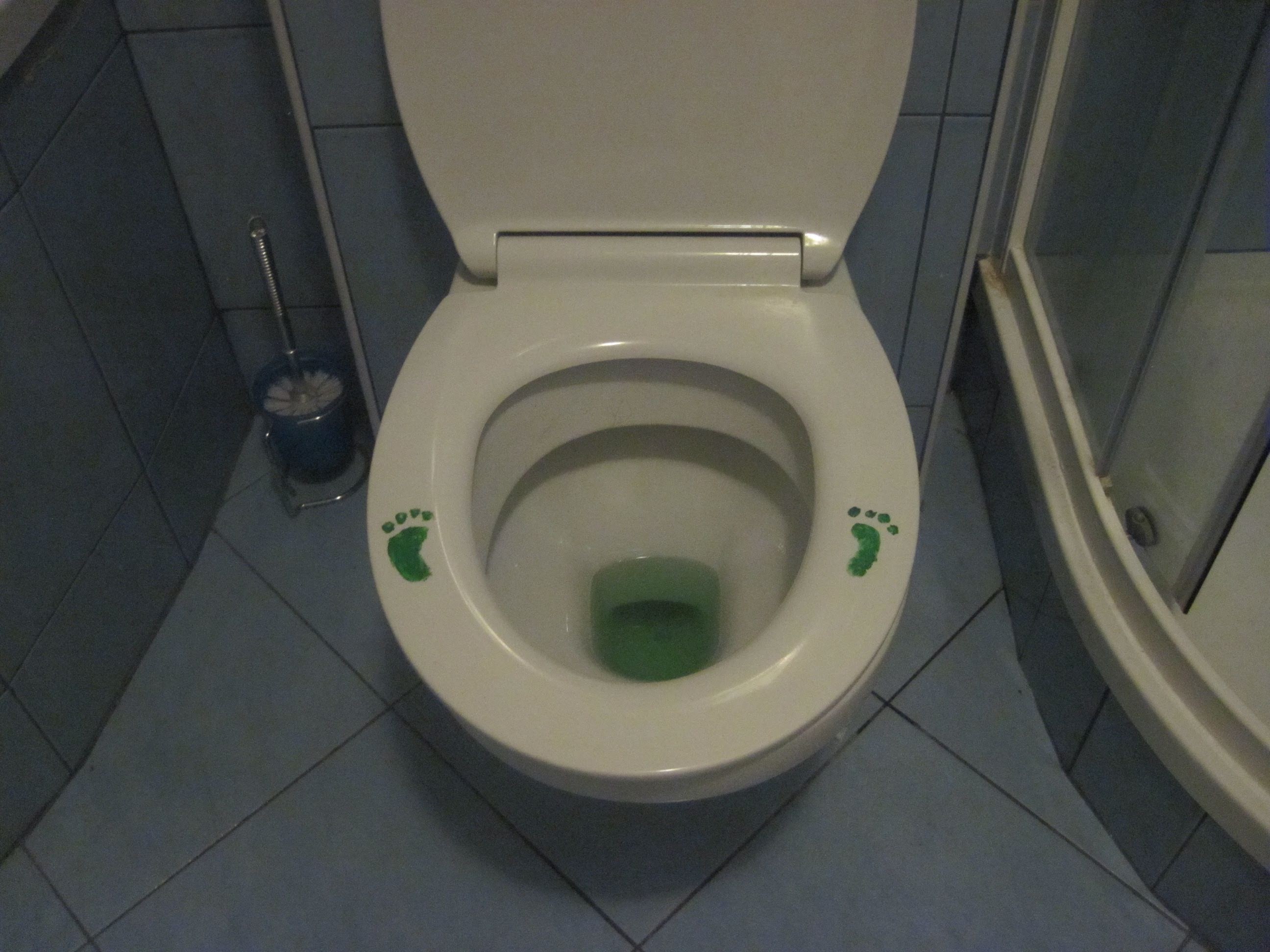 I guess Leprechaun peed in our toilet...